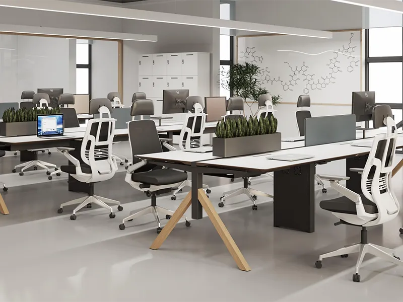 Manager and Staff Area-1